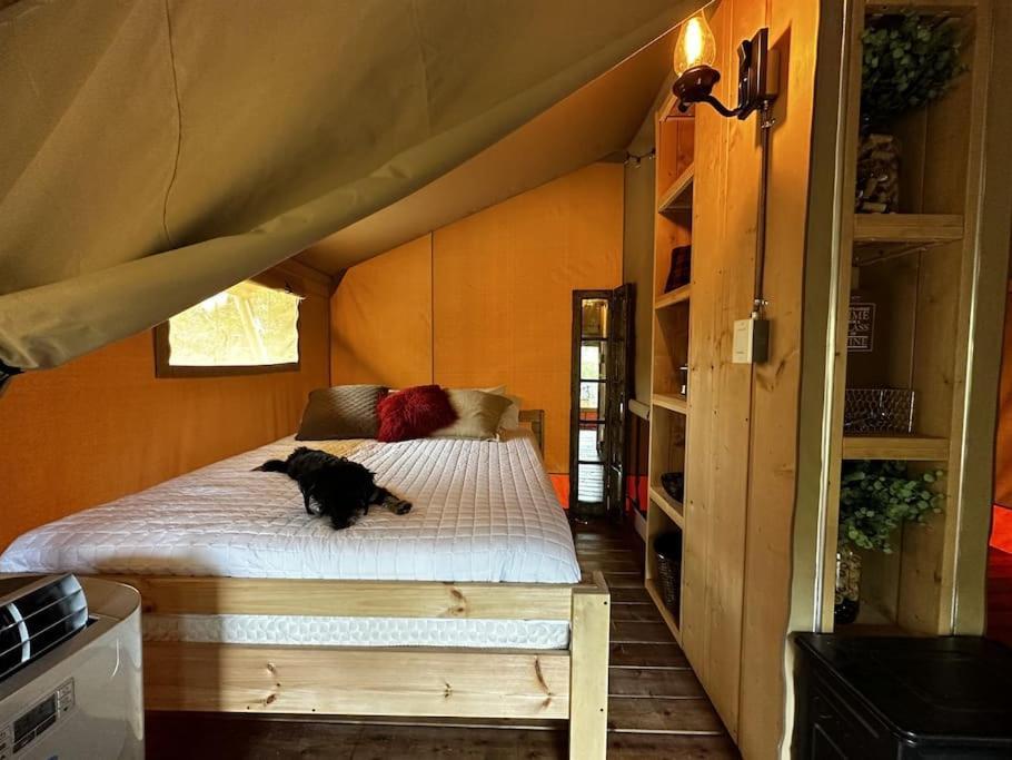 Отель 12 Fires Luxury Glamping With Heating #5 Джонсон-Сити Экстерьер фото